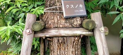 大人の科学バー・植物編vol.7