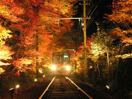 トンネルのような紅葉の中を列車が走ってゆく