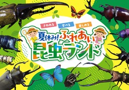 触れる、学べる、楽しめる昆虫展