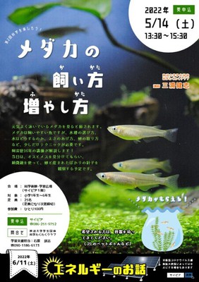 科学を楽しもう メダカの飼い方 増やし方 岡山県 の情報 ウォーカープラス