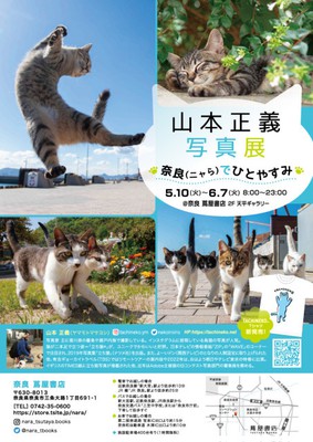 山本正義写真展 奈良（ニャら）でひとやすみ(奈良県)の情報｜ウォーカープラス