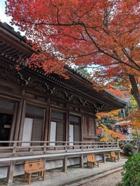 鮮やかな紅葉が寺と相まって風情を感じさせる