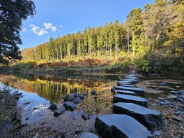 水面に映る彩りも楽しめる