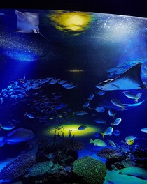 サンシャイン水族館 お月見イベント 東京都 の料金 クレジットカード情報 ウォーカープラス