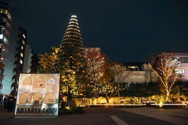 渋谷キャストの目の前にはクリスマスツリーが登場