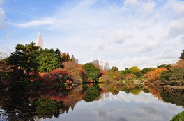 広大な公園が紅葉に彩られる