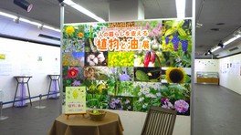 植物油のディープな世界と魅力について紹介