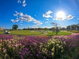 季節の花々が鮮やかに色付いて咲き誇る