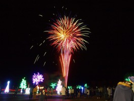 イルミで彩られた園内に、1月1日(祝)～3日(火)は花火が打ち上がる