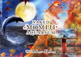 紅葉アートに彩られた美しい海の世界を楽しめる秋イベント