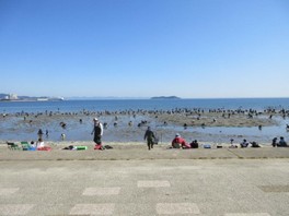 潮干狩りでにぎわう春日浦海岸