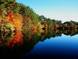 秋の柳沼では美しい水面と紅葉が楽しめる