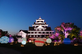 岡山城一帯がライトアップされ、日中とは違う幻想的な光景が広がる(画像は過去開催時の風景)