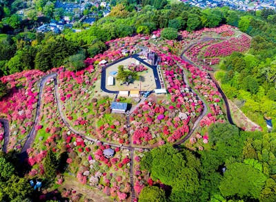笠間の春の風物詩として親しまれるつつじまつり