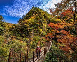 つり橋から眺める渓谷の景色は迫力満点