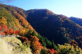 市営三峰駐車場周辺から見た紅葉した山々