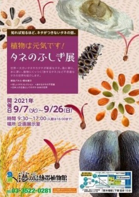 植物は元気です タネのふしぎ展 東京都 の情報 ウォーカープラス