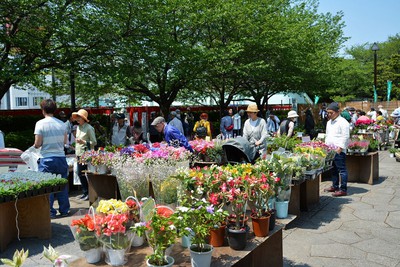 区民植木市 東京都 の情報 ウォーカープラス