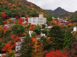 紅葉した木々が旅館を囲むようすは絵画のよう