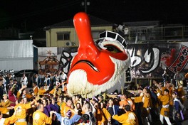 女性だけで担ぐ天狗みこし