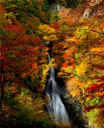 小中大滝を挟む鮮やかな紅葉