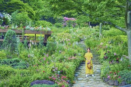 神戸布引ハーブ園のコンセプトガーデン「四季の庭-くつろぎの庭-」