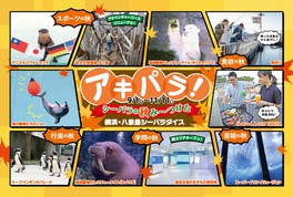 関東のイベント情報一覧 22年9月18日 日 81件 3ページ目 ウォーカープラス