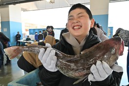 松川浦漁港内で開かれたの魚のつかみ取りイベントの様子