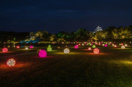 ライトアップされた岡山城を背景に、後楽園が幻想的な灯りで彩られる。※画像は2023年の様子