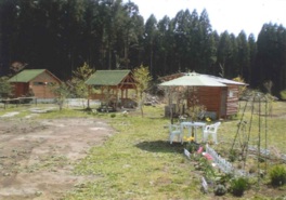 タラノキや栗の木に囲まれたキャンプ場