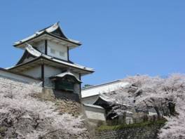 金沢城公園は桜の名所でもある
