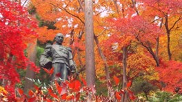 東郷平八郎元帥の像を美しい紅葉が囲む
