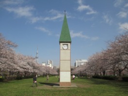 中央広場には公園のシンボルとなる時計塔があり、春は桜が満開となる
