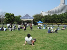 園内最大の太陽の広場はイベントなど幅広く利用されている