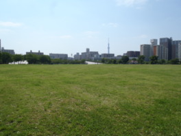 東京ドーム約1個分の広さを誇る自由の広場