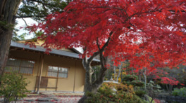 10月中旬から下旬には紅葉が見頃を迎える