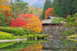 紅葉をはじめ四季折々に表情を変える庭園