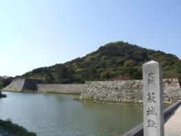 萩城跡指月公園は桜の名所としても有名