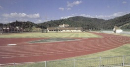 フィールドは天然芝で、サッカーなどの球技に使われている