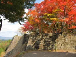 秋の岡城跡は色鮮やかな紅葉に包まれる