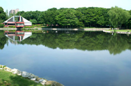 水と緑の豊かな環境にある公園