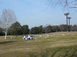 天気の良い日はピクニックを楽しむ家族連れなどでにぎわう広い芝生広場