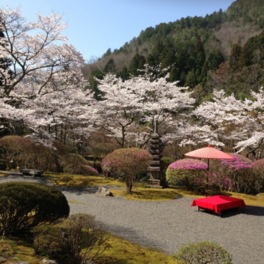 春には桜が咲き誇り、美しい庭園を華やかに彩る