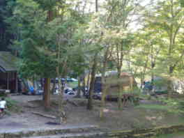 林間のテントサイト