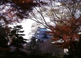 名城公園の紅葉 愛知県 の情報 ウォーカープラス