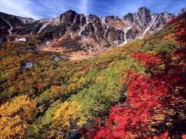 山肌を鮮やかな紅葉が彩る