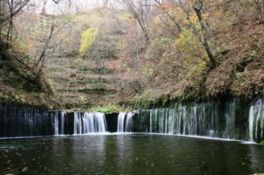 繊細な滝の音が紅葉に趣を添える