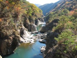 紅葉した木々の中に大自然が刻みあげた奇岩怪石がたくさん