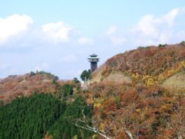 紅葉で色づいた山頂の景色