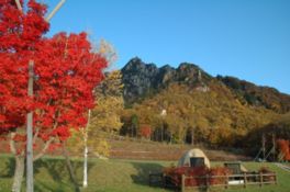 季節の彩りを見せる山々と赤黄色に色づいた紅葉に癒される。